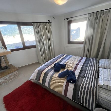 Villa Dream Arachova Exterior photo