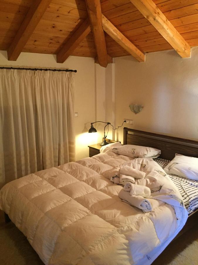 Villa Dream Arachova Exterior photo